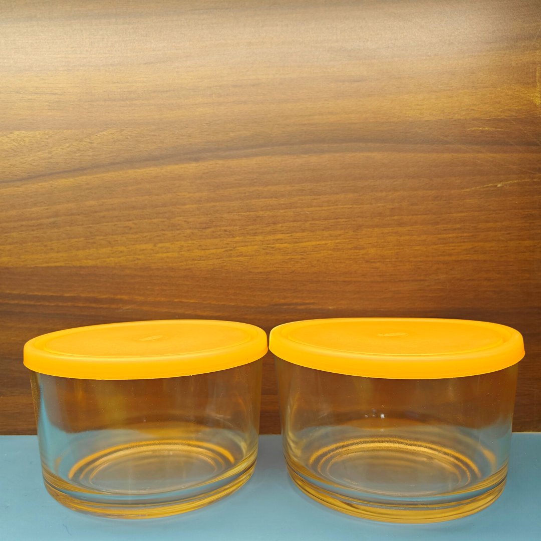 Yera Freezowarm Bowls with Lids - 785 ml - Set of 2 Pieces