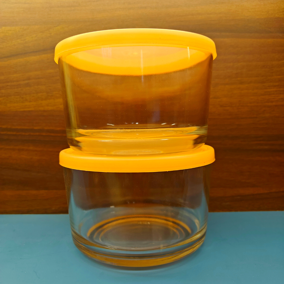 Yera Freezowarm Bowls with Lids - 785 ml - Set of 2 Pieces